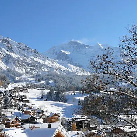 Sonnenhof By Interhome Lejlighed Wengen