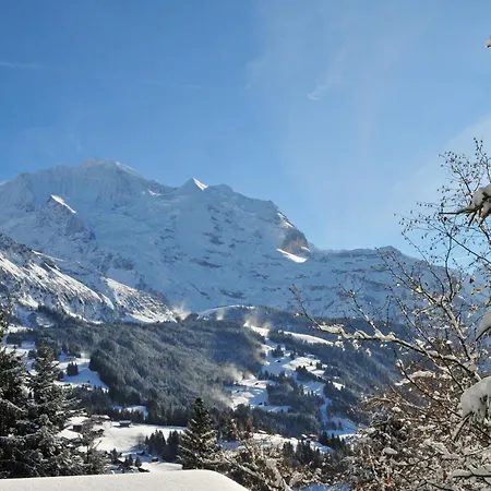 Sonnenhof By Interhome 아파트 *