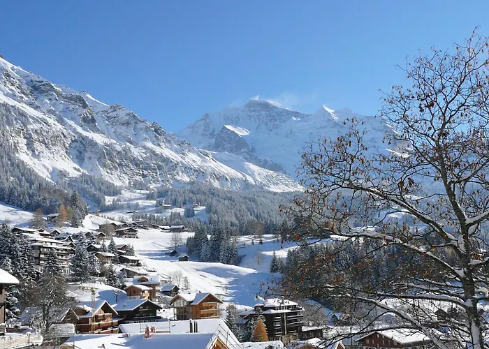 Sonnenhof By Interhome Apartman Wengen